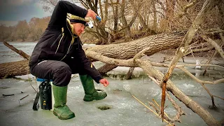 МАРТОВСКИЙ КАРАСЬ🐟🐟🐟!!! ЛОВИМ ПРОСТО В ДЕРЕВЕ🌴🌴🌴!!!