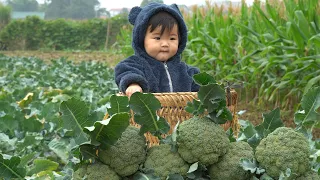 Harvesting cauliflower to sell at the market, Daughter cutting her hair, Installing a stone mill