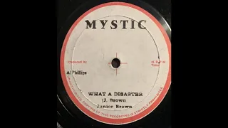 10''Junior Brown - What A Disaster & Version 1980