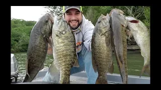 How to catch Wheeler lake smallmouth