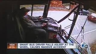 SMART bus driver falls asleep at the wheel, causes massive accident