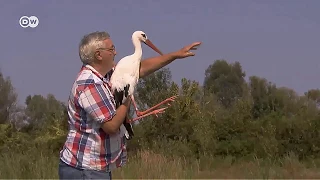 Klepetan & Malena - dojemný příběh.