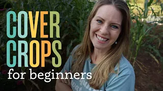 Cover Crop for Beginners. The easy way to boost your soil.