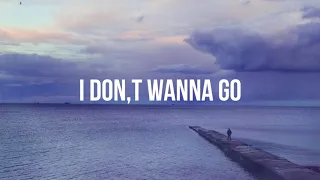 Alan walker-I Don,t Wanna Go-Ft. Julie Bergen(lyrics vedio)