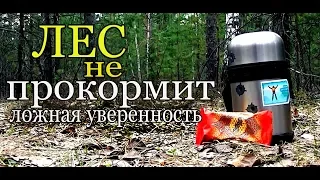 ЕДА в ЛЕСУ. ОЖИДАНИЕ и РЕАЛЬНОСТЬ. ЧЕМ питаться в лесу.