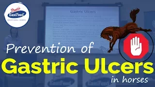 Prevention of Gastric Ulcers in horses