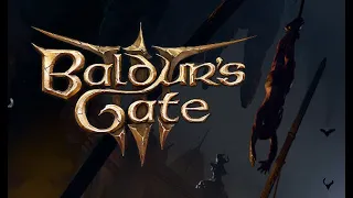 Baldurs Gate 3. Сложный выбор. Часть 12.