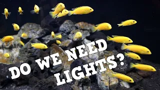 The TRUTH About Aquarium Lighting..... And The Lies