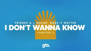 Friends & I, Niicap, Does It Matter - I Don't Wanna Know (Lyrics)