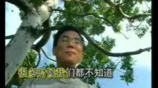 不要认为自己没有用.flv