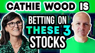 Cathie Wood is Betting on These 3 Dividend Stocks in Her ARK Invest ETFs | Buffett Owns 2 of Them