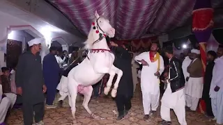 Ghora dance in punjab Pakistan 2022 new video,Punjab de rang 786