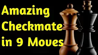 Fishing Pole Trap: Chess Opening TRICK to WIN Games Fast: Secret Checkmate Strategy, Moves & Ideas