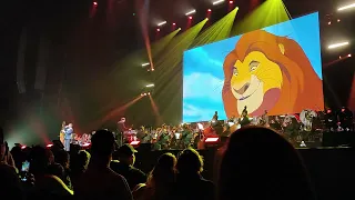 100 ans Disney à Bordeaux Le Roi Lion 🦁 L'histoire de la vie