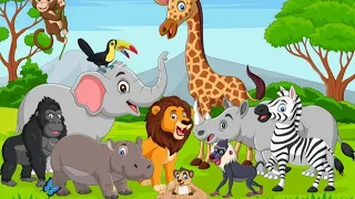 Cute farm animals moments:: Cat, cow, dog, chicken, horse, duck, elephant- animal sounds