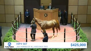 First Constitution (CHI) sells for $430,000 at July Selected Horses of All Ages (2022)
