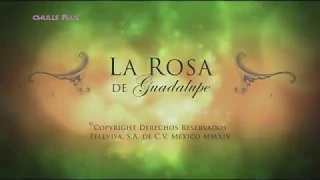 La rosa de guadalupe - El amor nunca tiene la culpa (parte 1/2)