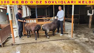 100 KG BO'G'OZLAR KELDI TOJIKISTON KASHTAN SOVLIQLARI