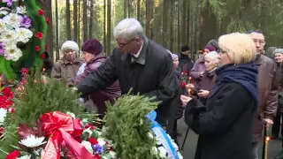 Левашовская пустошь.