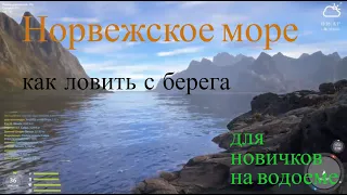 Русская Рыбалка 4  Норвежское море Как ловить с Берега (для новичков)