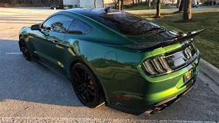 POV: You Drive A 2022 Shelby GT500!  (Track Exhaust Mode)