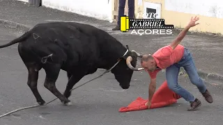 Resumo da Tourada de São Mateus 8-6-2022 Ganadeiro F.HF