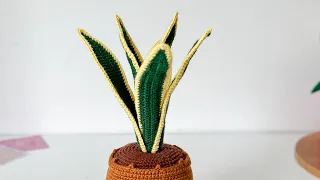 Lengua de suegra tejido - sansevieria