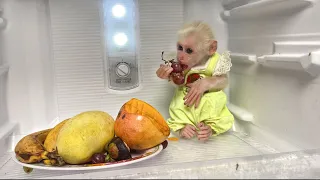 Super fun! Monkey Luk secretly steals fruit from refrigerator