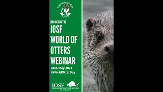 International Otter Survival Fund:  IOSF World of Otters Webinar  2021- Morning Session