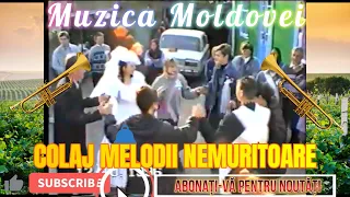 ▶️ COLAJ MELODII NEMURITOARE | MUZICĂ MOLDOVENEASCĂ LA TROMPETĂ 👑 MUZICĂ DE PE TIMPURI STRĂVECHI