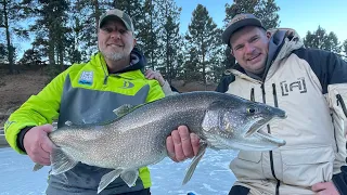 Lake Trout in the Black Hills | Shallow Water Beast Mode