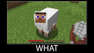 Minecraft wait what meme part 23 sheep steve