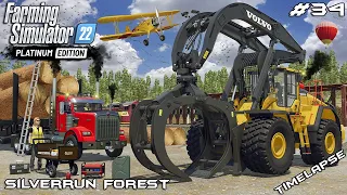 Exporting GIANT SEQUOIA logs with a TRAIN | Silverrun Forest | FS22 Platinum Edition | Episode 34