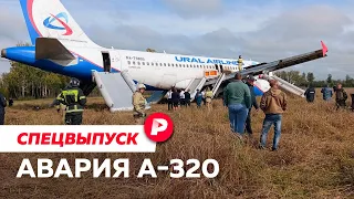Аварийная посадка А-320 под Новосибирском — разбор Алексея Пивоварова
