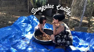 Tamarind Candy | Backyard Harvest Princess GB