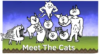 Meet the Cats: Normal cats