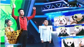 “萌滚滚”熊猫团惊喜上线 周世懂初登舞台与小伙伴PK记忆熊猫眼 | 挑战不可能之加油中国