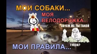 Товарищ "дерево" и его собачки на велодорожке... Велодорожка.  г.Омск, глазами велосипедиста #52