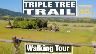 4K City Walks - Hiking Triple Tree Trail Bozeman Montana - Virtual Walking Trails for Treadmill