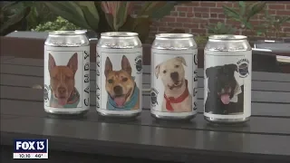 Adoptable dogs pictured on Motorworks Brewing lager cans