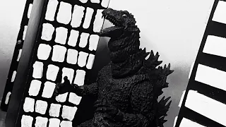 Godzilla: Reign Of The King