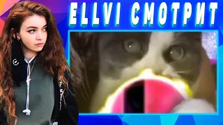 ELLVI смотрит UNUSUAL MEMES COMPILATION V71 || Элви