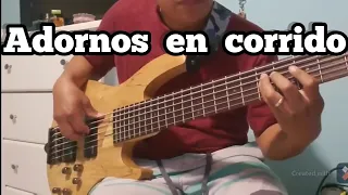 Adornos en corrido. (bass cover)