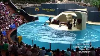 Шоу морских львов на Тенерифе. Лоро парк.