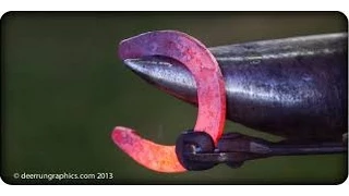 Kenny Knowlton concepts for Shoeing horses- Como Herrar Caballos TvAgro por Juan Gonzalo Angel