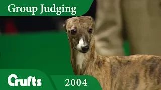 Whippet wins Hound Group Judging at Crufts 2004