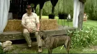 HISTORY OF THE PLOTT HOUND | Waynesville, NC