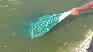 PRAWN & FISH CATCHING