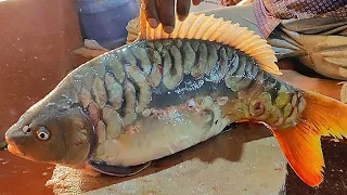 Amazing Mirror Carp Fish Cutting Live In Chittagong Fish Market | Fish Cutting Skills
