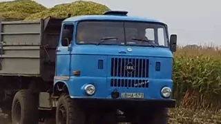 CLAAS JAGUAR 820, MTZ 80, IFA W50, SILÓZÁS